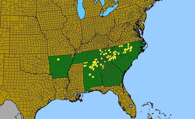 The range of Fothergilla major